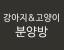 광주 펫월드 북구점(강아지분양,강아지용품,고양이용품,소동물용품) 분양방